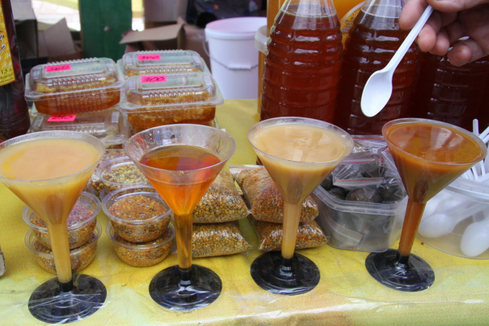 В ВКО открывается научно-исследовательский центр алтаеведения